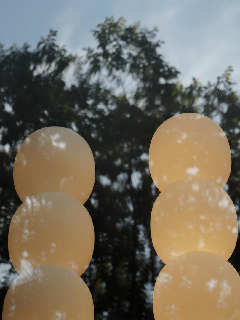 Close view of glowing globes reflected near trees