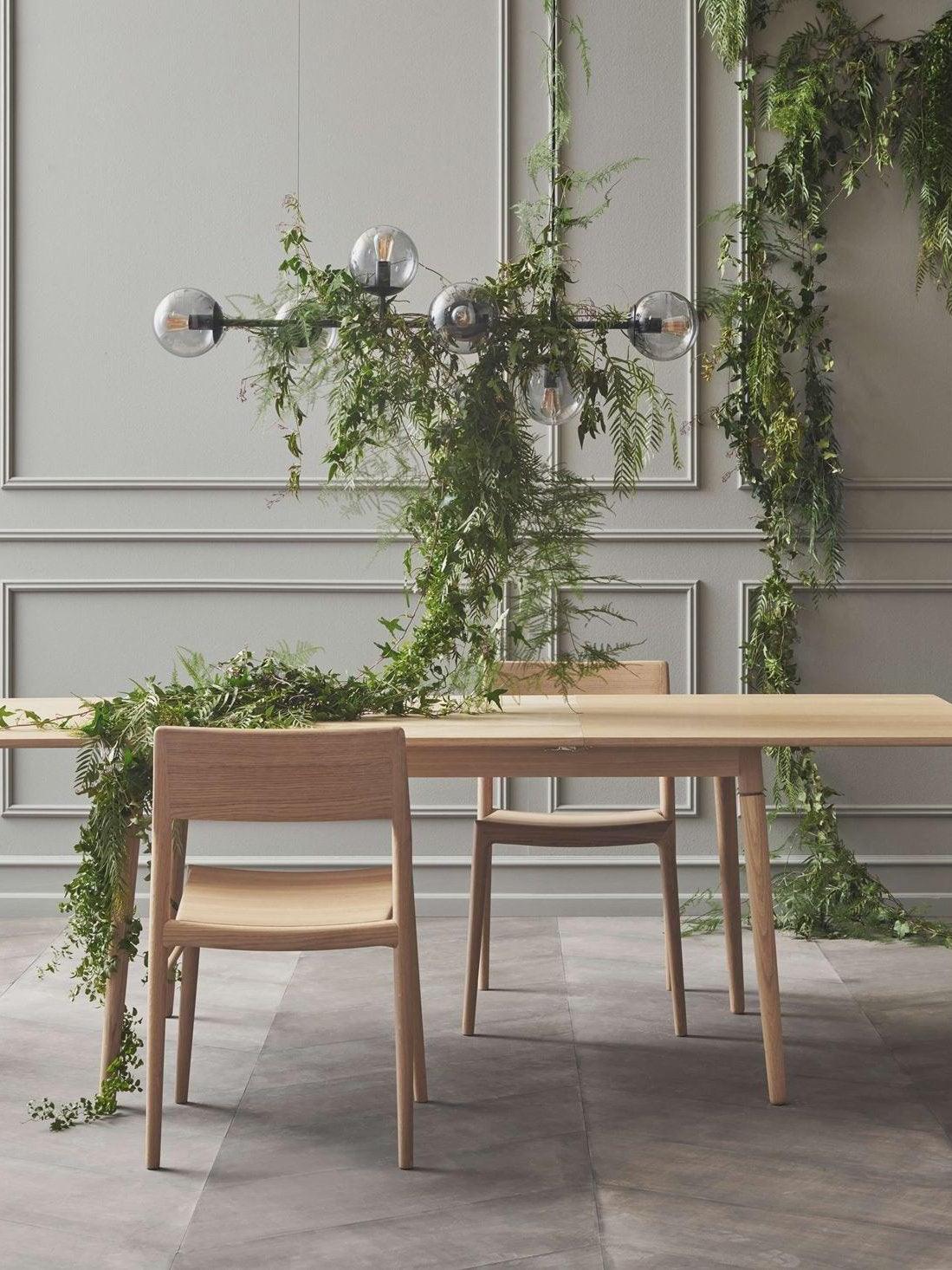 Glass-globe light above a table with greenery