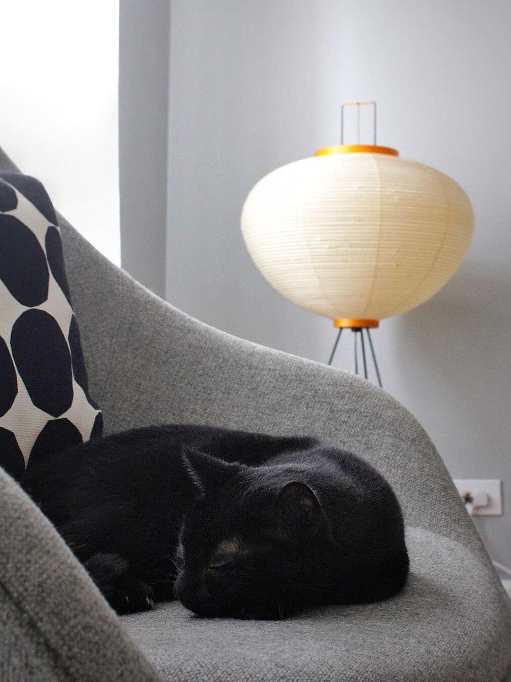 Rounded paper shade behind grey sofa