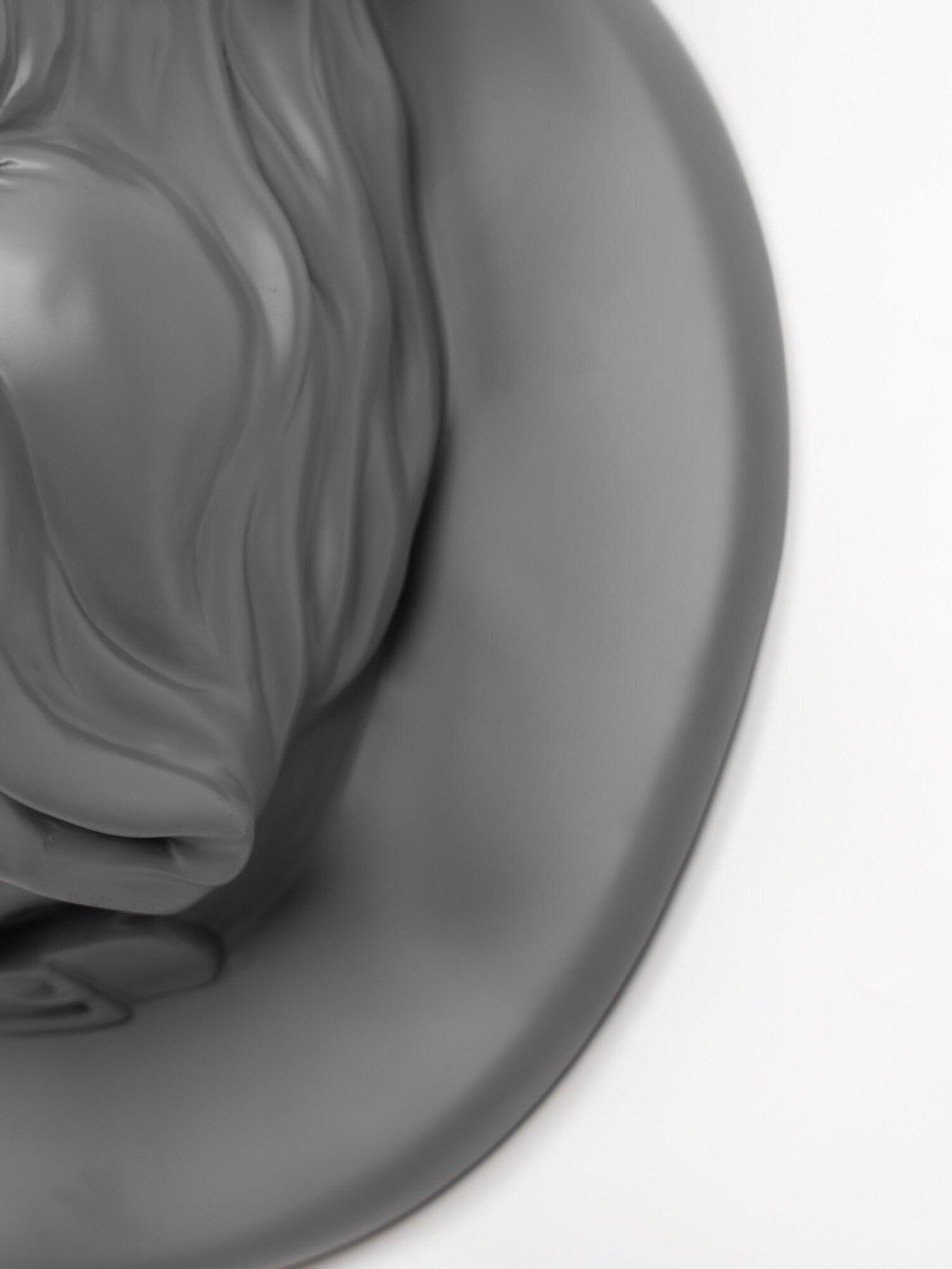 Close detail of grey bulldog cheek and round plate