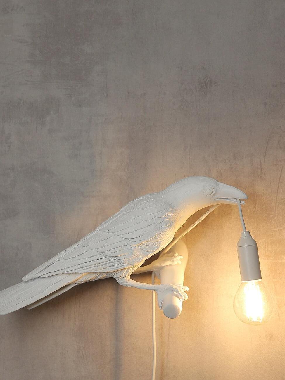 White bird facing right with a lit hanging bulb and cable against a textured wall
